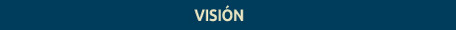 Visión