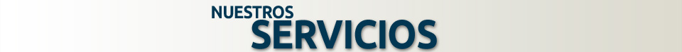 Nuestros Servicios